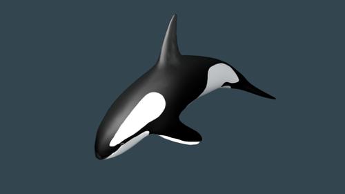 Killer whale preview image